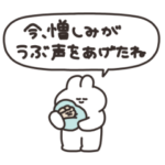 使いにくいうさちゃん　その４