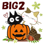 黒ねこ&みけさんのBIGなお便り2