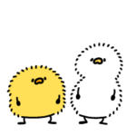 ほのぼのなへんてこなヒヨコとたまにアヒル