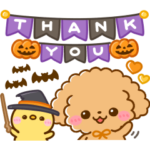 飛び出す♡トイプーの秋