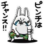 全力うさぎ毎日使える前向きポジティブ編