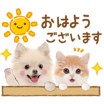 かわいい犬と猫❤️飛び出す❤️ポメにゃん