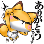 きつめきつね10