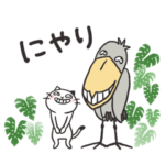 毎日便利/ハシビロコウと猫