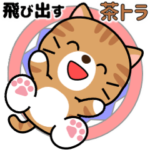 飛び出す！茶トラ猫