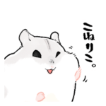 もっちり怠惰なジャンガリアンハムスター