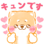 きゅるるん❤️日常会話❤️いやしばいぬ❤️