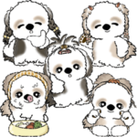 シーズー犬『髪型あるある』