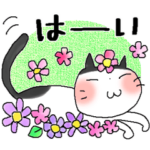 ほっこり＊ヅラちゃん