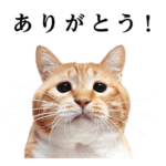 ぐっぴーのスタンプ　第３弾