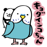 キョダインコちゃん