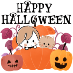 飛び出す!秋×ハロウィン♡miniガール
