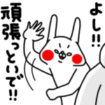 全力うさぎお母さんは心配性編