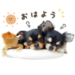 チワワとトカゲの日常スタンプ②