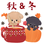 背景が動く！秋冬♡ふわもこ子犬♡トイプー