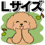 キュートなトイプードル ♡ デカ文字入り