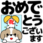 飛び出す！シーズー「デカ文字」