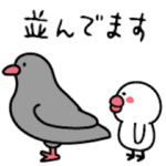 ひよやん◎待ち合わせ