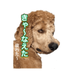 すたんぷーのばっちゃん