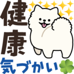 健康気づかいサモエド犬