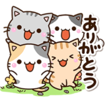 楽しい５匹のちび猫