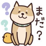 しばいぬ♡家族で使える