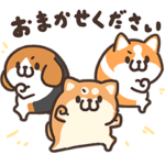 ボンレス犬　フレンズ