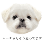 ムーチョの世界 〝参〟⠀