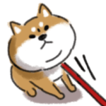 もっちり柴犬の日常4