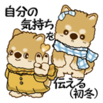 柴犬『自分の気持ちを伝えましょう！』初冬