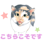 『ミケちゃんとやすらぎさん』ミケちゃん