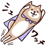 ◯ SHIBAINUさん ◯ゆるく毎日使える