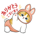 動く！にゃんぱんつ！