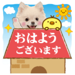 かわいい犬❤️飛び出す❤️ポメ❤️敬語多め