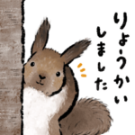 気ままな毎日 / 北の森