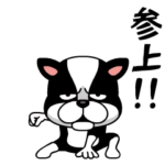 飛び出す！いきりわんこ。