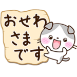 かわいい☆たれみみネコ