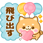 飛び出す♡犬の日♡豆柴日和