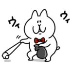 遊びを満喫するにゃっちーず