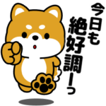 飛び出す！ポジティブ豆柴