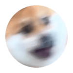 柴犬ふう太の丸犬スタンプ 躍動感 ver.