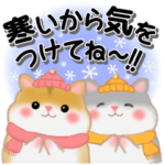 ハムスター「ハムたん」冬