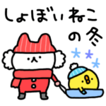 しょぼいねこの冬