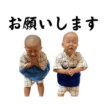 たいようandせいたろう