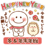 冬と年末年始♡ふんわりやさしいスマイル