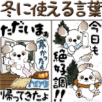 シーズー犬『寒い時に使える言葉』