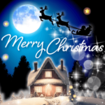 ずっと使えるおしゃれな大人のクリスマス