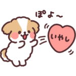 ふわふわシーズー9 ポジティブ！