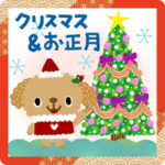 絵本みたいな*飛び出す*トイプーXmasお正月