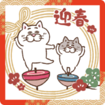 目付きの悪い猫 ＆犬